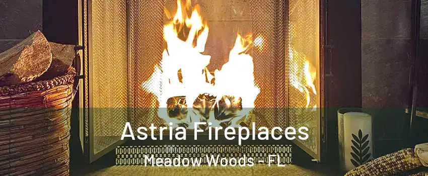  Astria Fireplaces Meadow Woods - FL