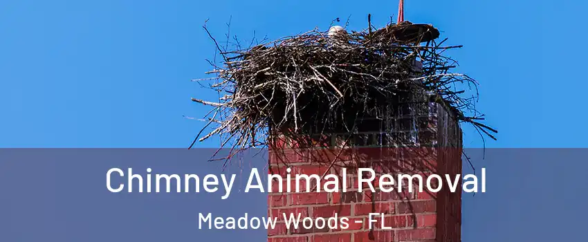 Chimney Animal Removal Meadow Woods - FL