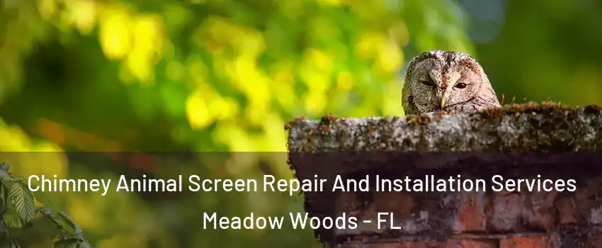  Chimney Animal Screen Repair And Installation Services Meadow Woods - FL
