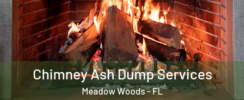  Chimney Ash Dump Services Meadow Woods - FL