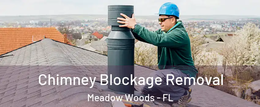 Chimney Blockage Removal Meadow Woods - FL