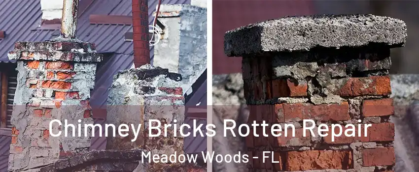  Chimney Bricks Rotten Repair Meadow Woods - FL