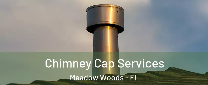  Chimney Cap Services Meadow Woods - FL