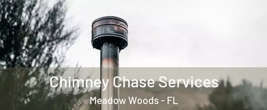  Chimney Chase Services Meadow Woods - FL