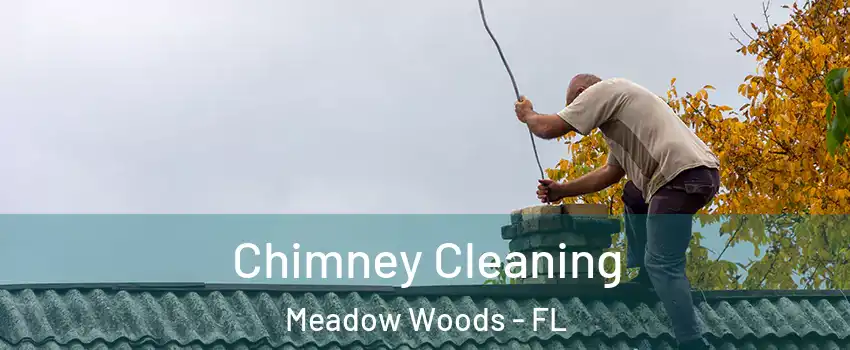 Chimney Cleaning Meadow Woods - FL