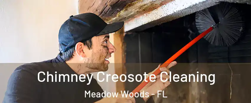  Chimney Creosote Cleaning Meadow Woods - FL