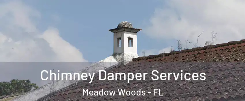  Chimney Damper Services Meadow Woods - FL
