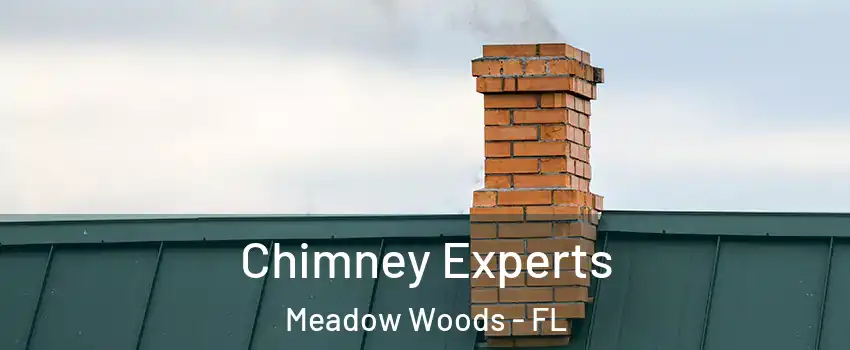 Chimney Experts Meadow Woods - FL