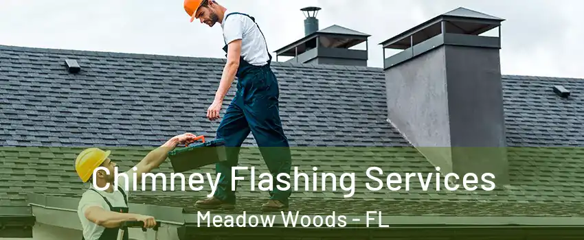 Chimney Flashing Services Meadow Woods - FL