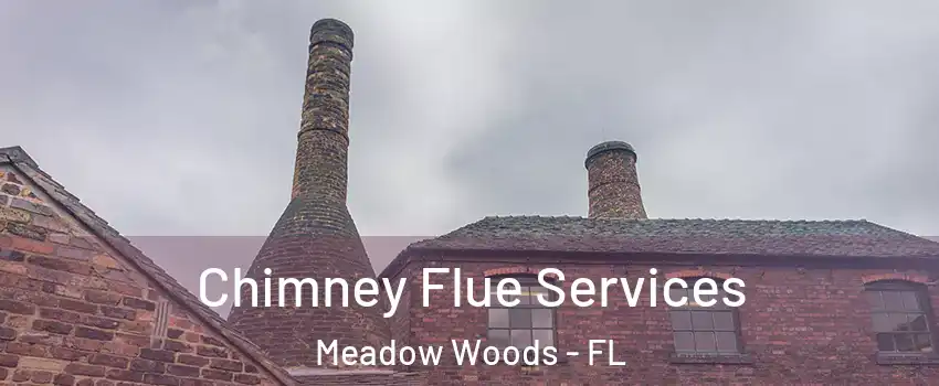  Chimney Flue Services Meadow Woods - FL