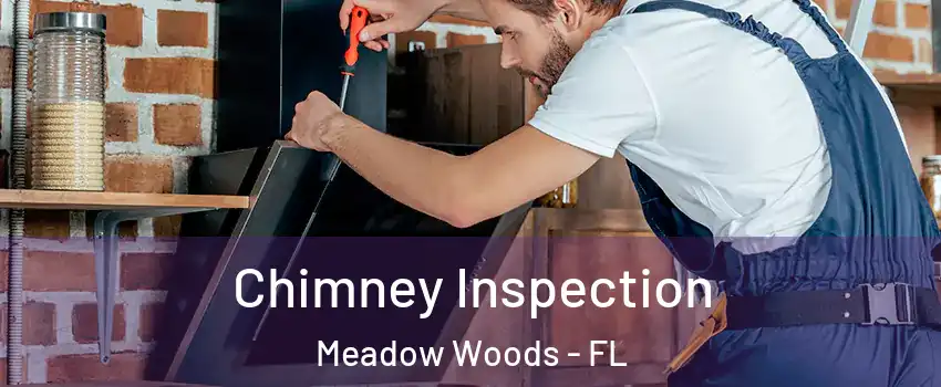  Chimney Inspection Meadow Woods - FL
