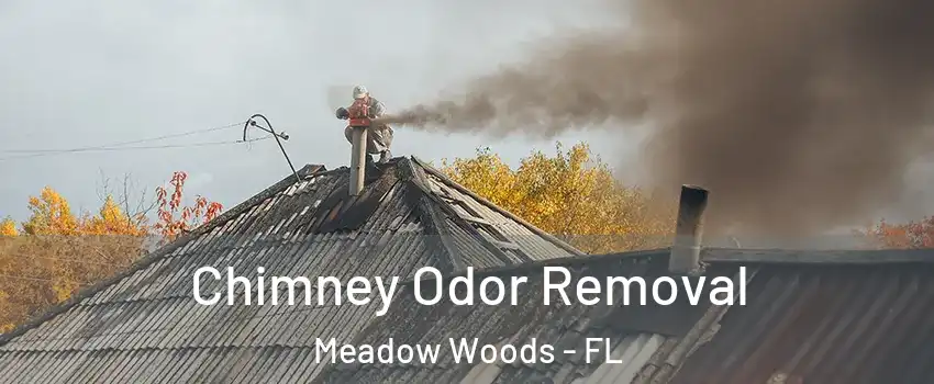  Chimney Odor Removal Meadow Woods - FL