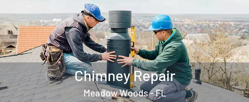  Chimney Repair Meadow Woods - FL