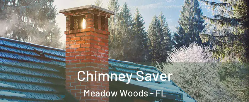  Chimney Saver Meadow Woods - FL