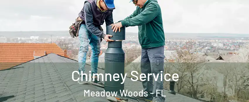  Chimney Service Meadow Woods - FL