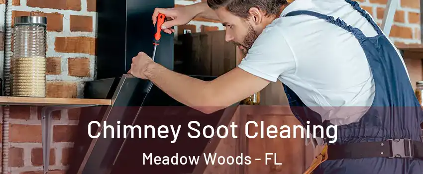  Chimney Soot Cleaning Meadow Woods - FL