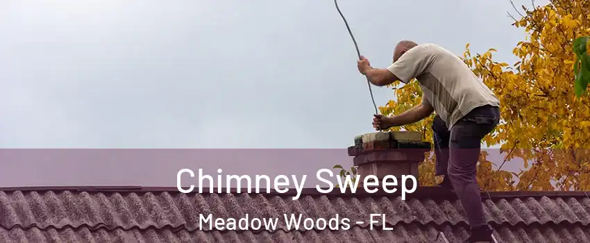  Chimney Sweep Meadow Woods - FL