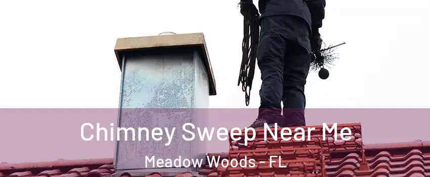  Chimney Sweep Near Me Meadow Woods - FL