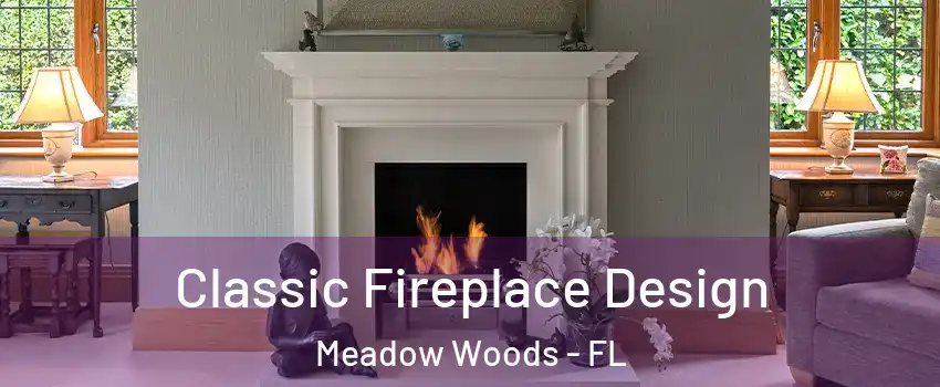  Classic Fireplace Design Meadow Woods - FL