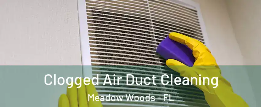  Clogged Air Duct Cleaning Meadow Woods - FL