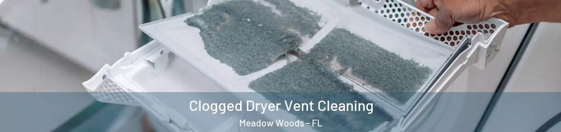  Clogged Dryer Vent Cleaning Meadow Woods - FL
