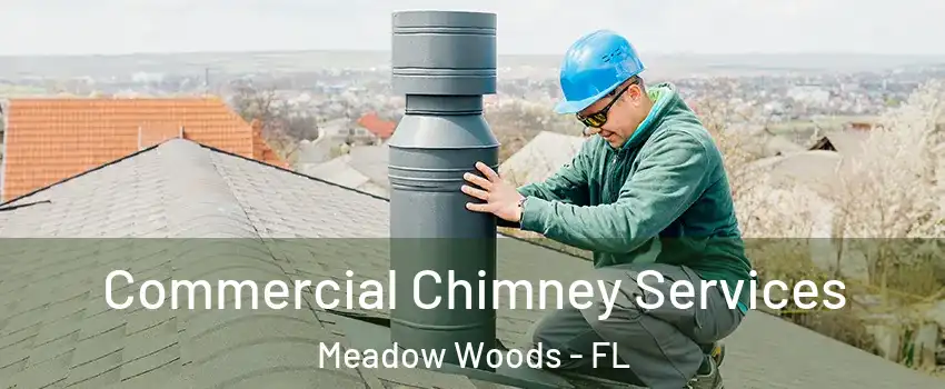  Commercial Chimney Services Meadow Woods - FL
