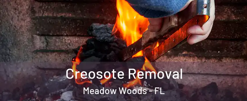  Creosote Removal Meadow Woods - FL