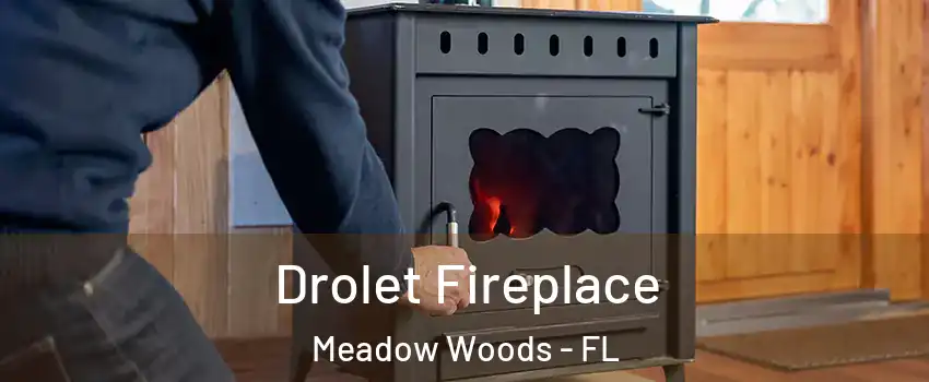  Drolet Fireplace Meadow Woods - FL