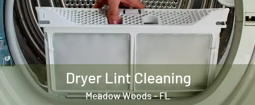  Dryer Lint Cleaning Meadow Woods - FL