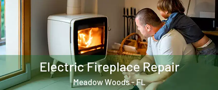  Electric Fireplace Repair Meadow Woods - FL
