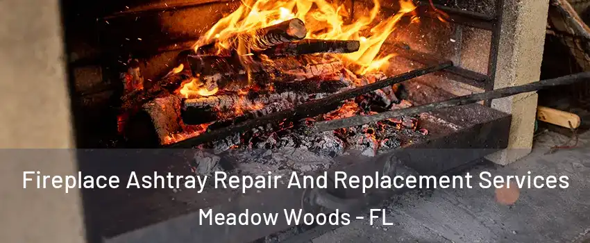  Fireplace Ashtray Repair And Replacement Services Meadow Woods - FL