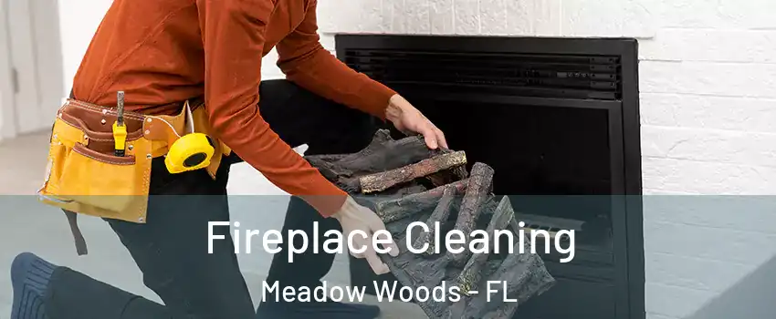  Fireplace Cleaning Meadow Woods - FL
