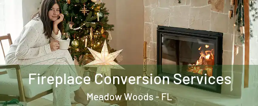  Fireplace Conversion Services Meadow Woods - FL