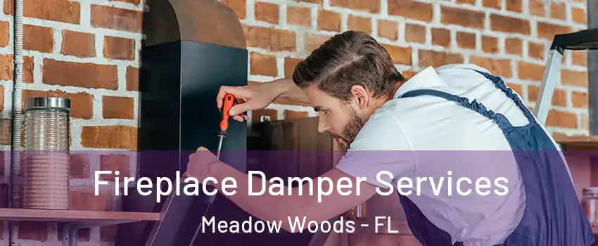  Fireplace Damper Services Meadow Woods - FL