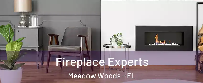  Fireplace Experts Meadow Woods - FL