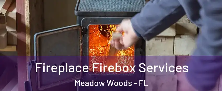  Fireplace Firebox Services Meadow Woods - FL