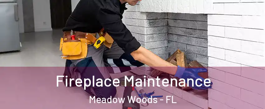  Fireplace Maintenance Meadow Woods - FL