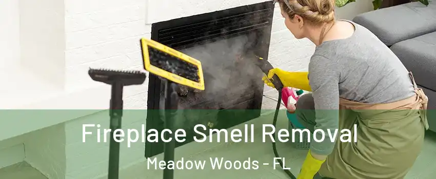  Fireplace Smell Removal Meadow Woods - FL