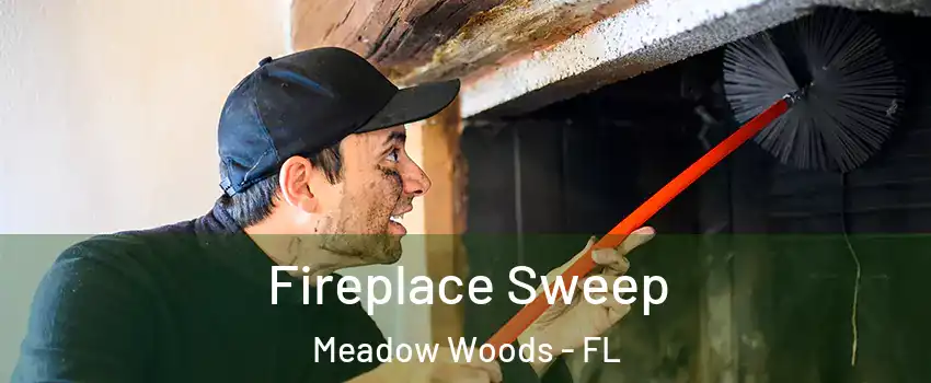  Fireplace Sweep Meadow Woods - FL
