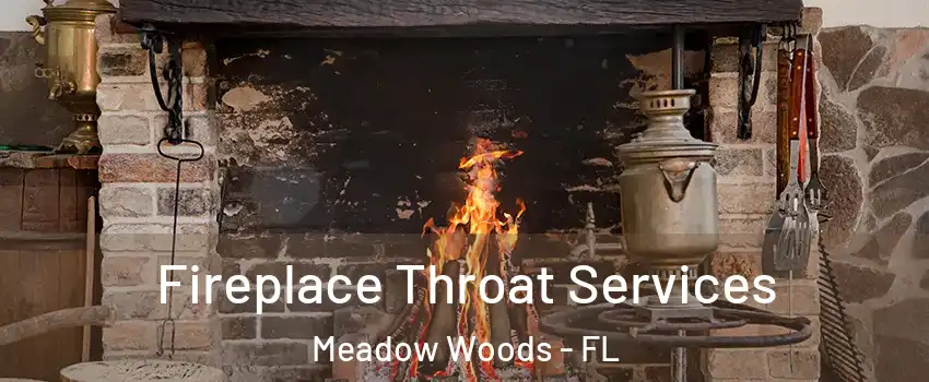  Fireplace Throat Services Meadow Woods - FL