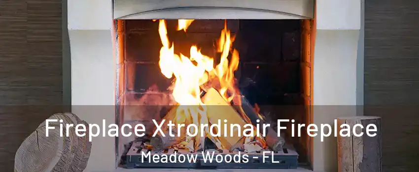  Fireplace Xtrordinair Fireplace Meadow Woods - FL