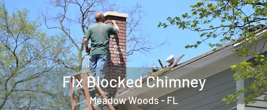  Fix Blocked Chimney Meadow Woods - FL