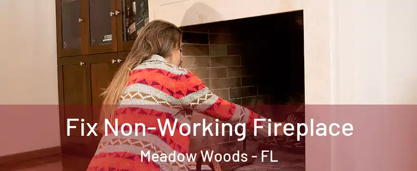  Fix Non-Working Fireplace Meadow Woods - FL