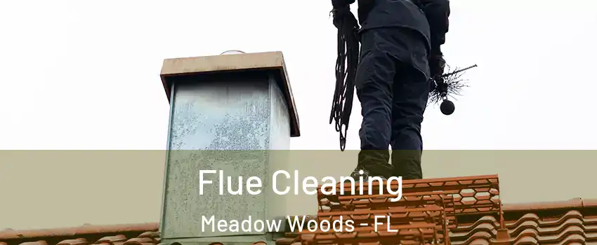  Flue Cleaning Meadow Woods - FL