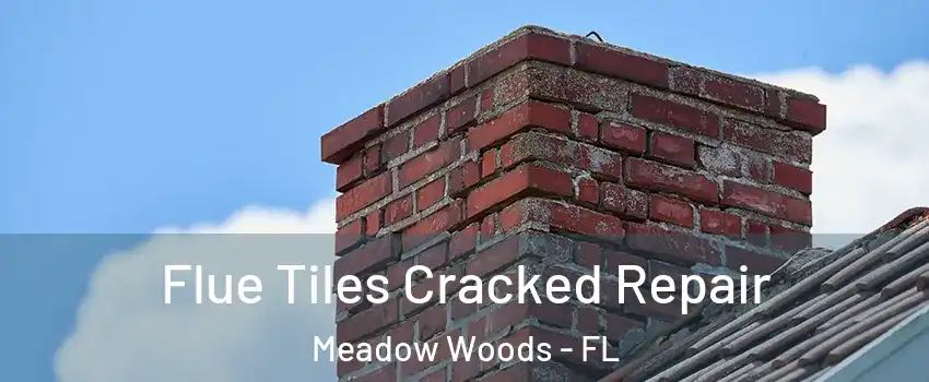  Flue Tiles Cracked Repair Meadow Woods - FL