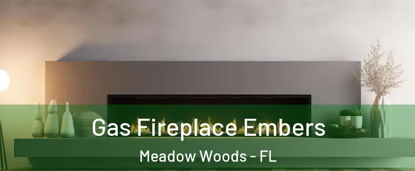  Gas Fireplace Embers Meadow Woods - FL