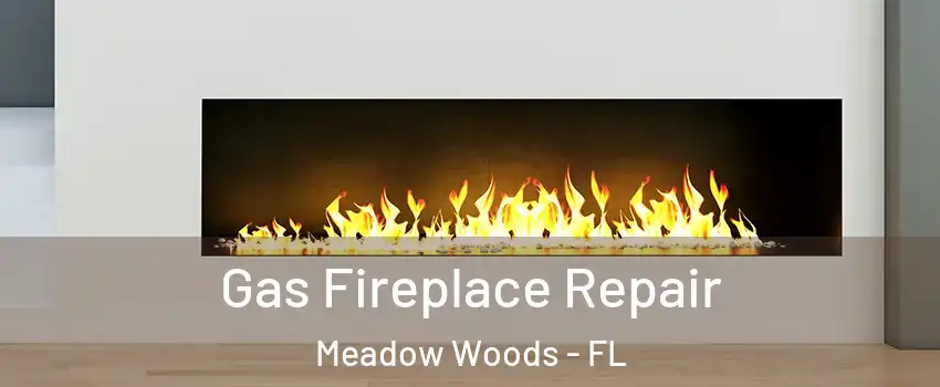  Gas Fireplace Repair Meadow Woods - FL