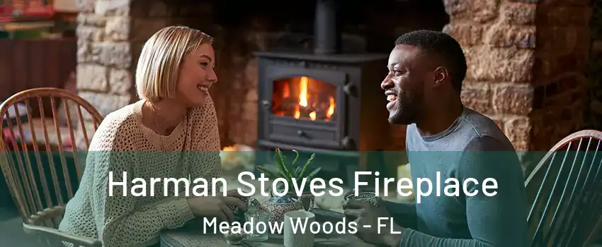 Harman Stoves Fireplace Meadow Woods - FL
