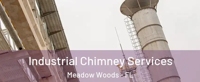  Industrial Chimney Services Meadow Woods - FL