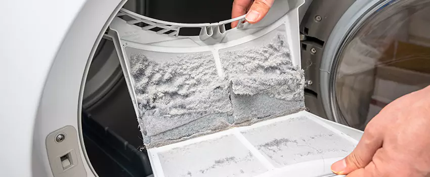 Best Dryer Lint Removal Company in Meadow Woods, Florida